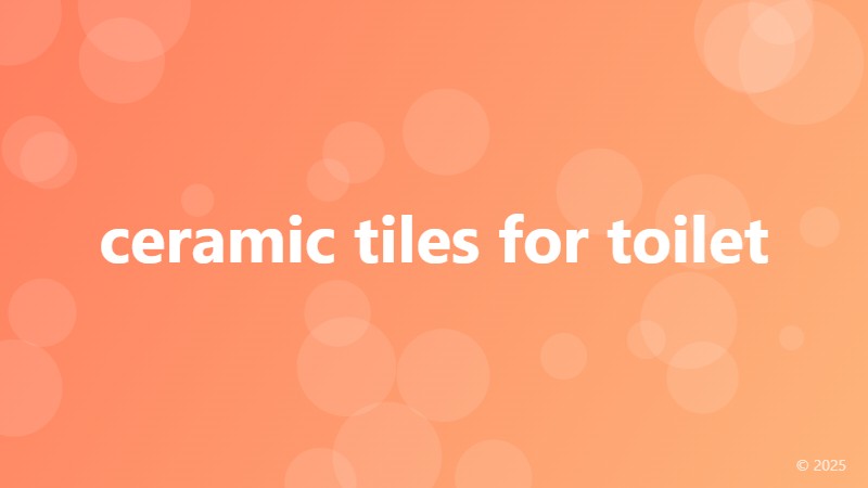 ceramic tiles for toilet