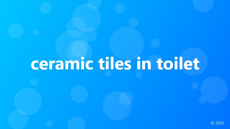 ceramic tiles in toilet