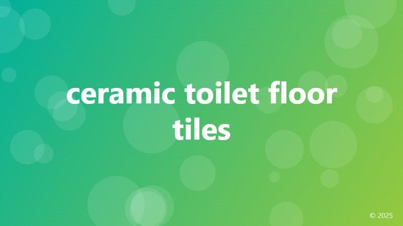 ceramic toilet floor tiles