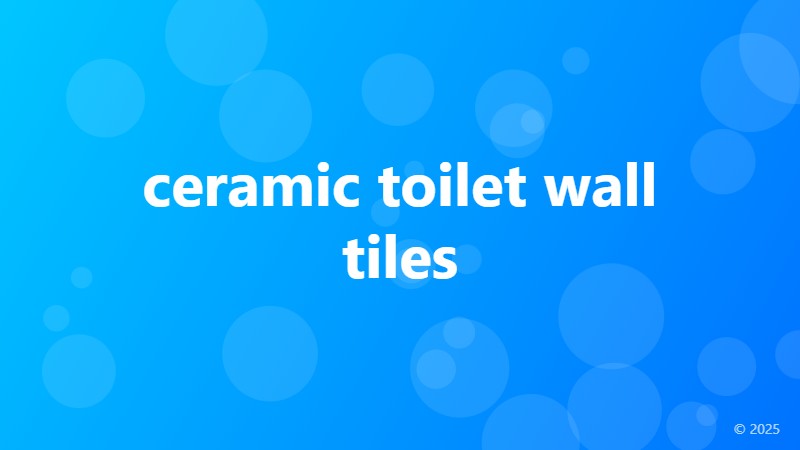 ceramic toilet wall tiles
