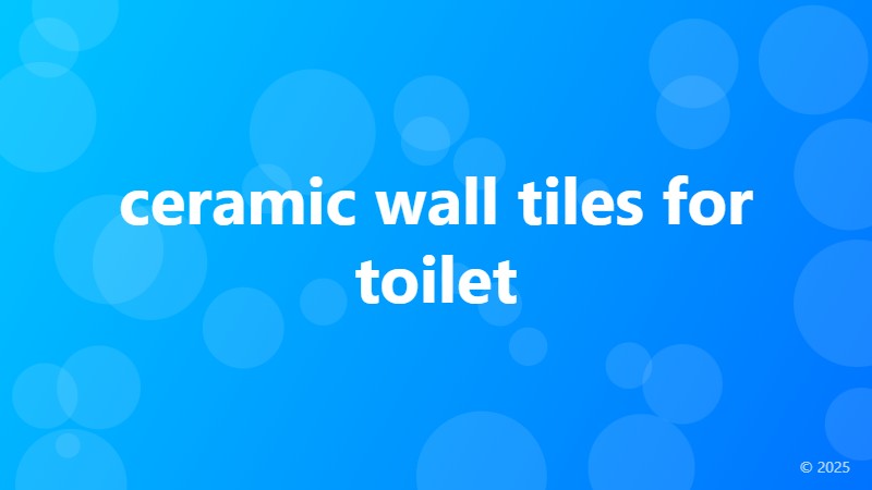 ceramic wall tiles for toilet