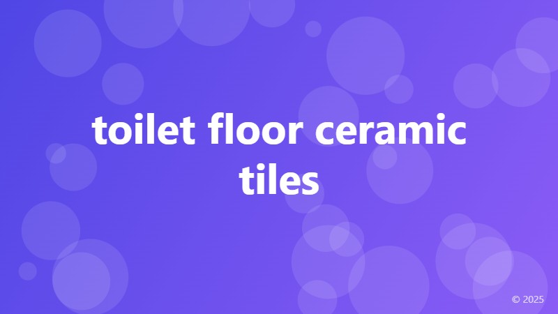 toilet floor ceramic tiles